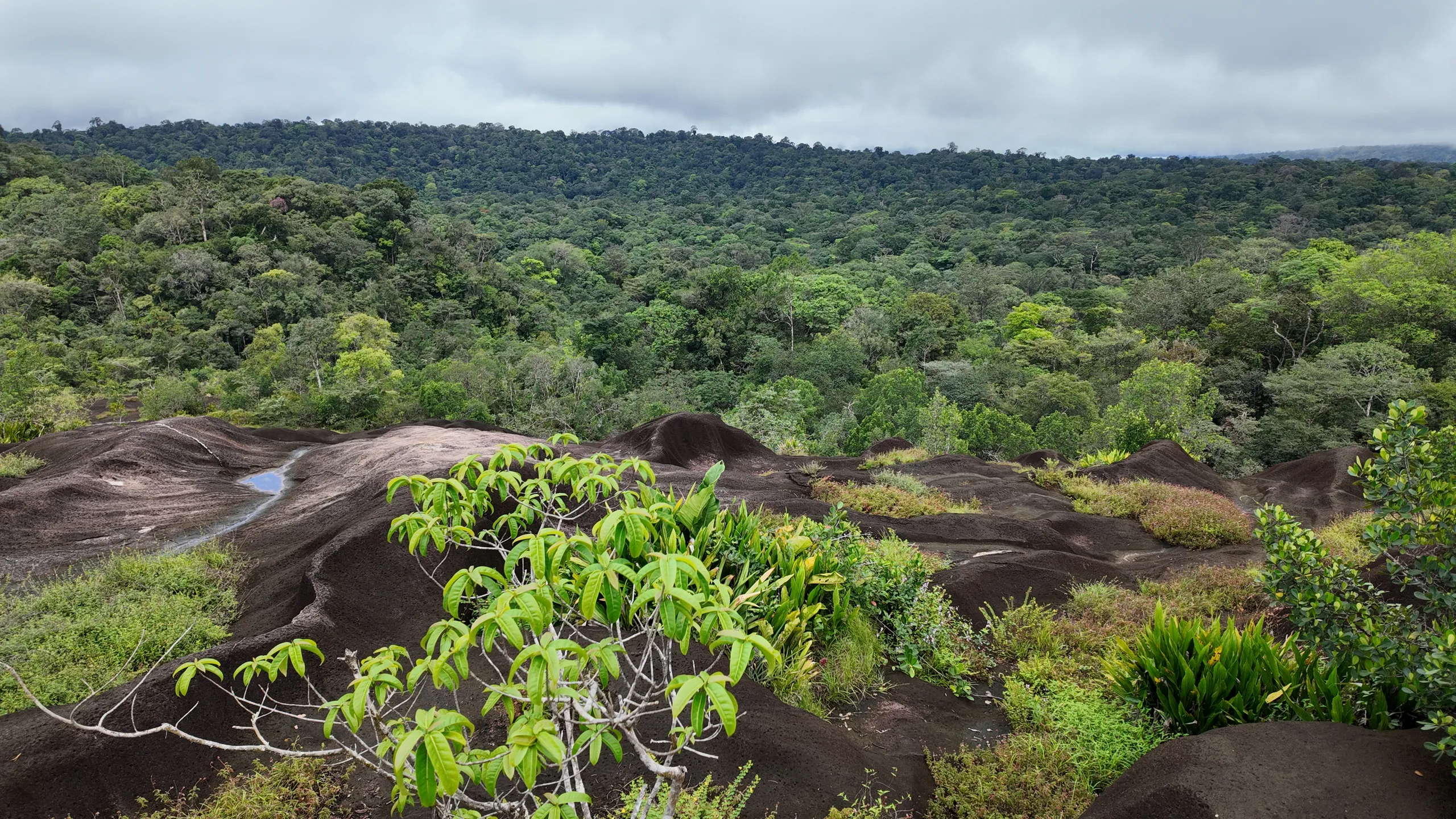 Les meilleurs crique de guyane
